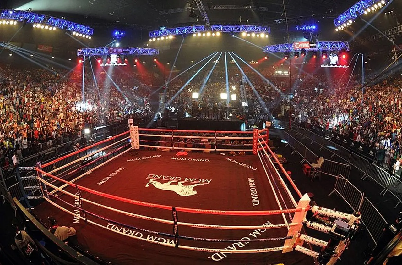 Beyond Wrestling: fighting sports available for betting