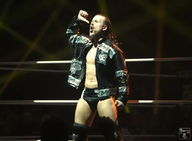 AEW Worlds End 2024 at Addition Financial Arena in Orlando, FL