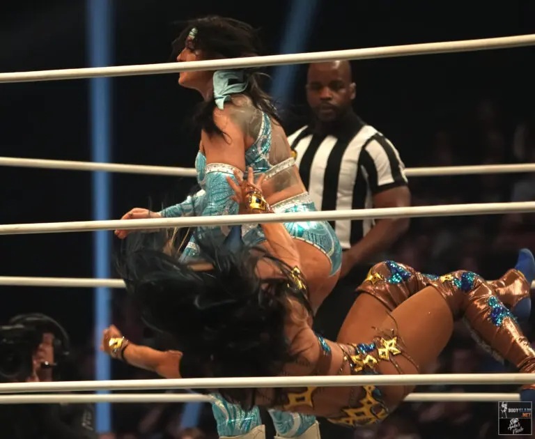 AEW Worlds End 2024 at Addition Financial Arena in Orlando, FL