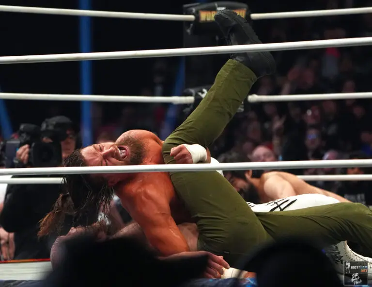 AEW Worlds End 2024 at Addition Financial Arena in Orlando, FL