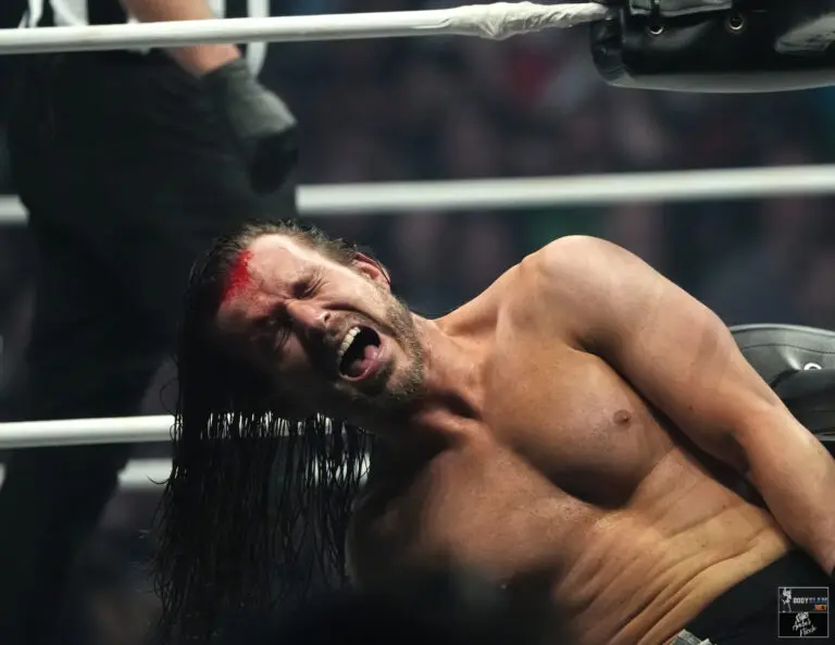 AEW Worlds End 2024 at Addition Financial Arena in Orlando, FL
