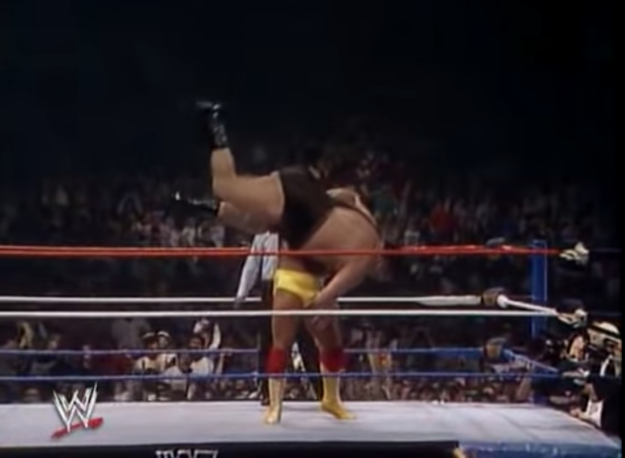 5 Wrestling Matches That Changed The Business