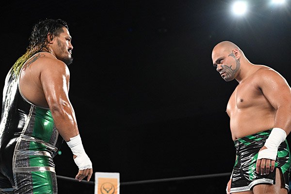 Jeff Cobb to HENARE: I heard that WWE offered you a good contract