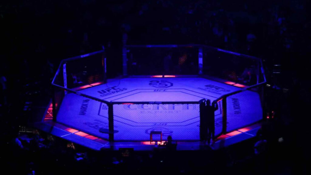 Highest Paid MMA Fighter in 2026 – Who Really Earns Most?